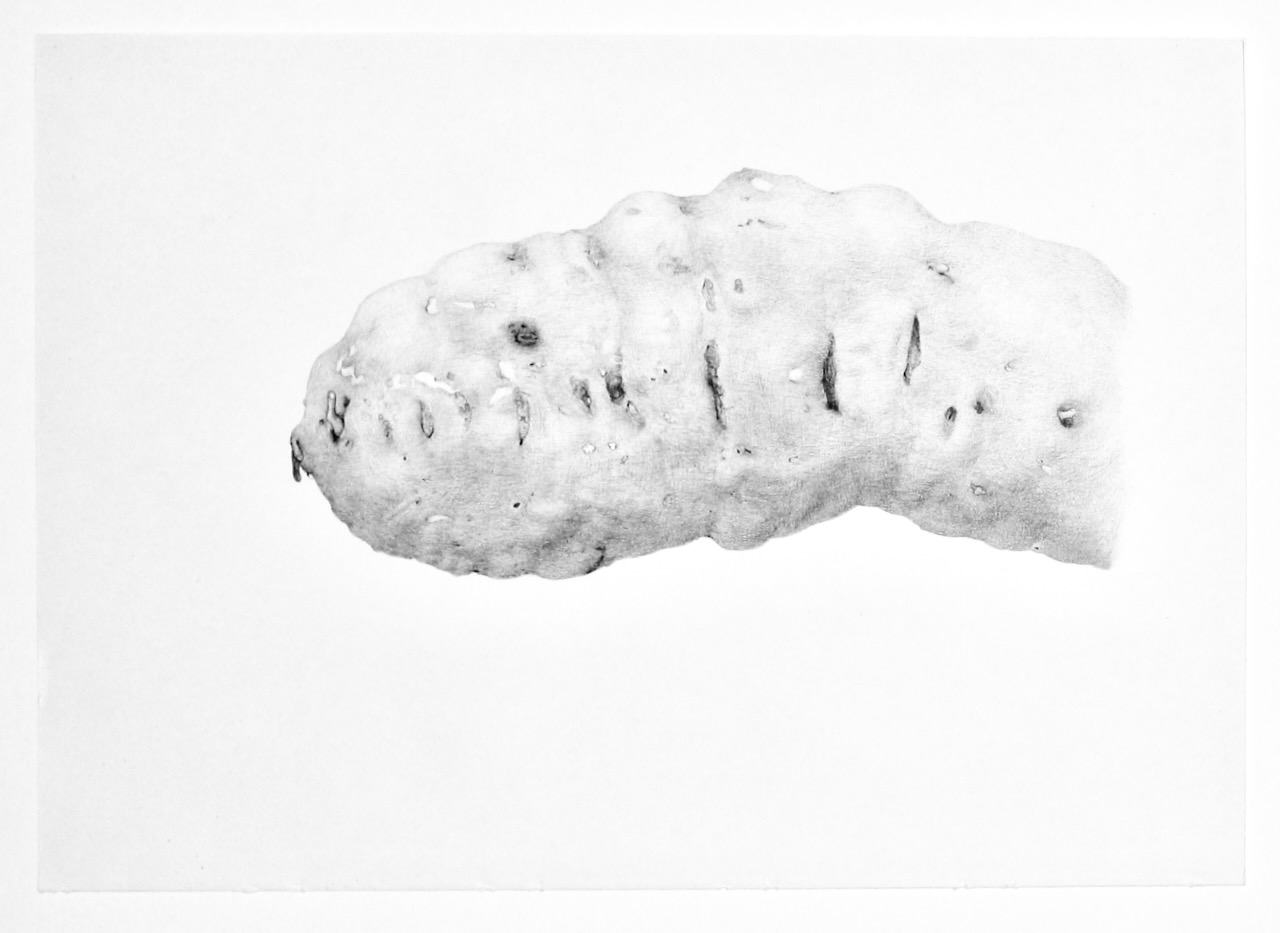 Renato Orara, Potato
